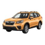 Forester 2020-